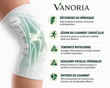 Genouillère ajustable de maintien de la rotule